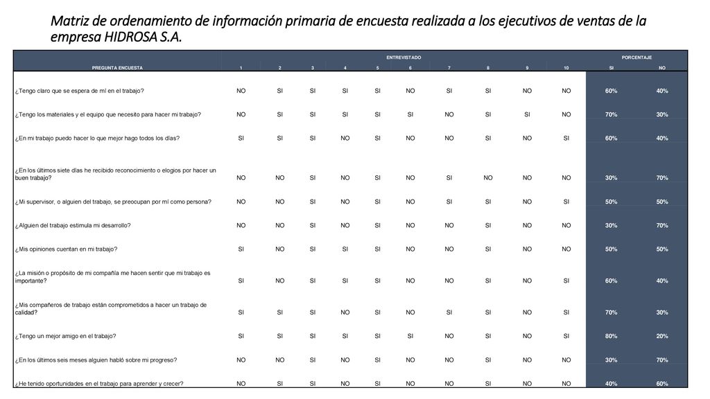 Matriz de ordenamiento de información primaria de encuesta realizada a los ejecutivos de ventas de la empresa HIDROSA S.A.