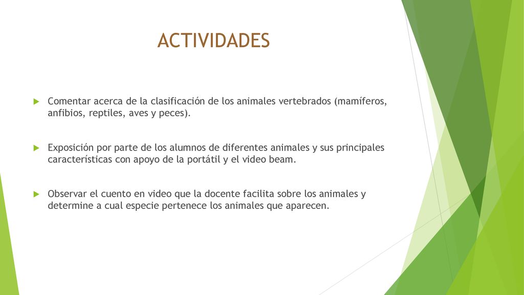 ACTIVIDADES Comentar acerca de la clasificación de los animales vertebrados (mamíferos, anfibios, reptiles, aves y peces).