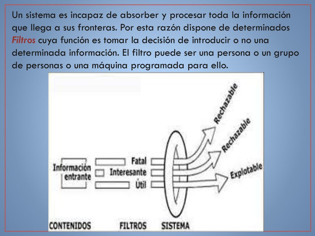 Un sistema es incapaz de absorber y procesar toda la información que llega a sus fronteras.