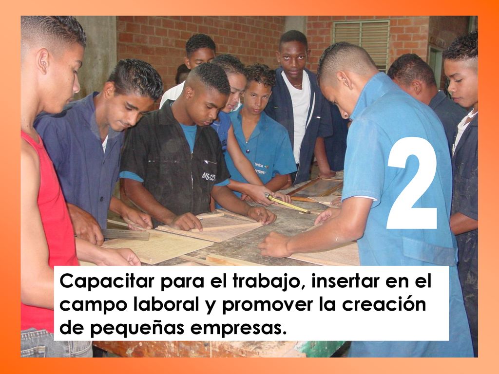 2 Capacitar para el trabajo, insertar en el campo laboral y promover la creación de pequeñas empresas.