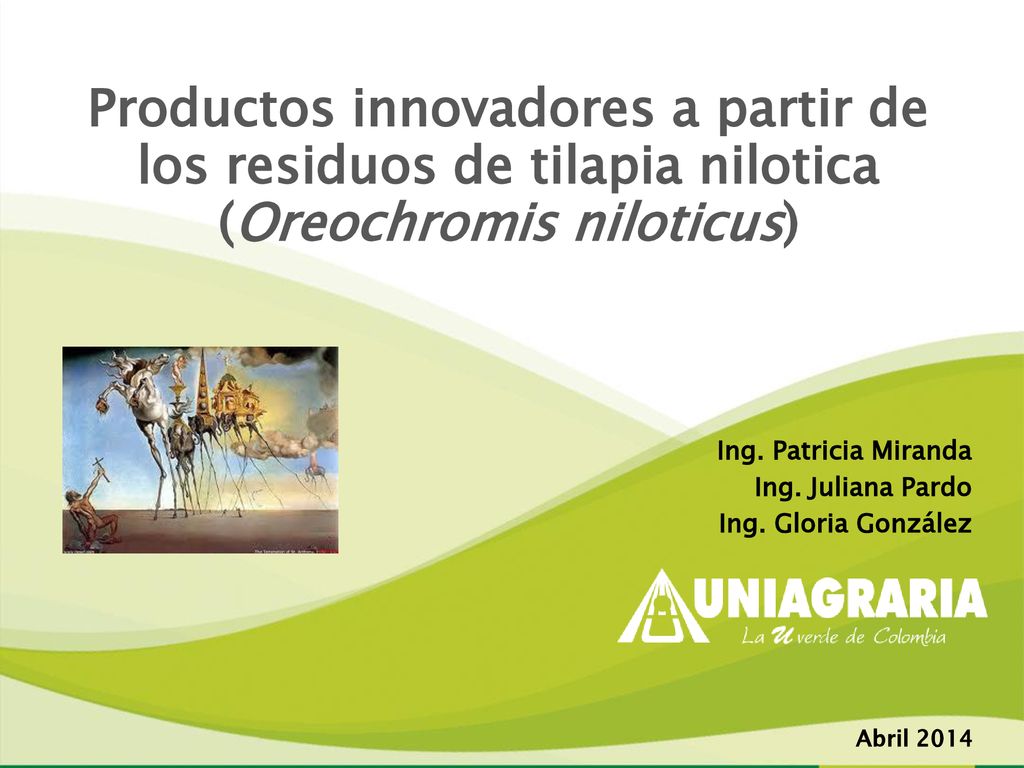 1 Productos innovadores a partir de los residuos de tilapia nilotica (Oreochromis niloticus) Ing. Patricia Miranda.