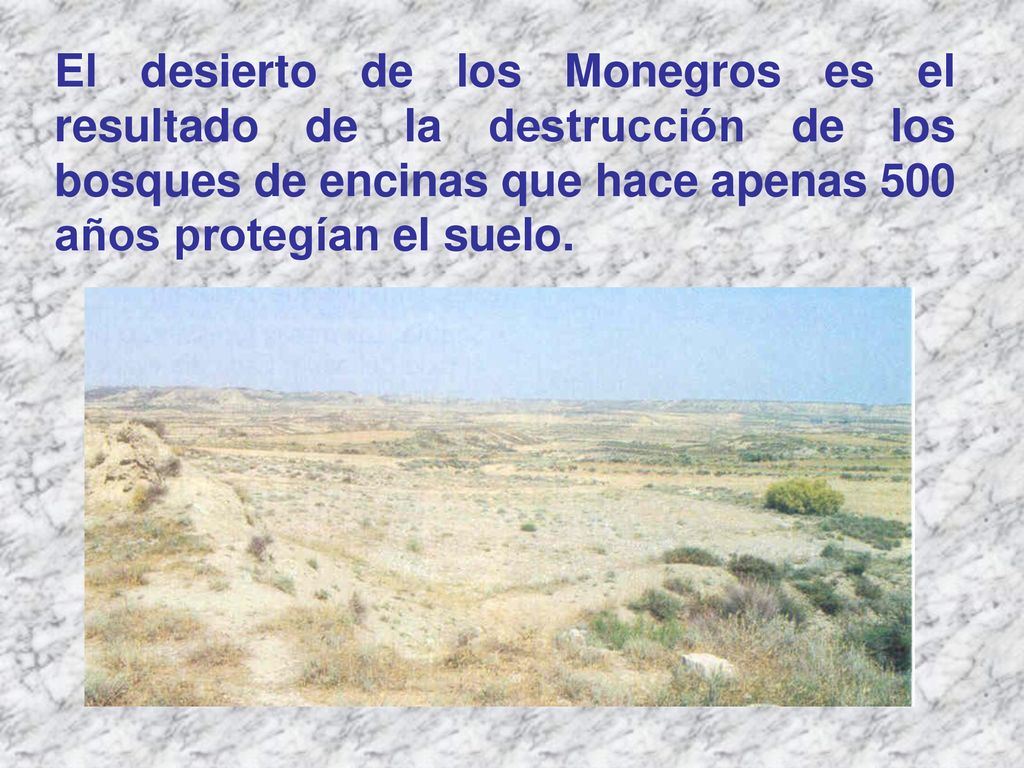 El desierto de los Monegros es el resultado de la destrucción de los bosques de encinas que hace apenas 500 años protegían el suelo.