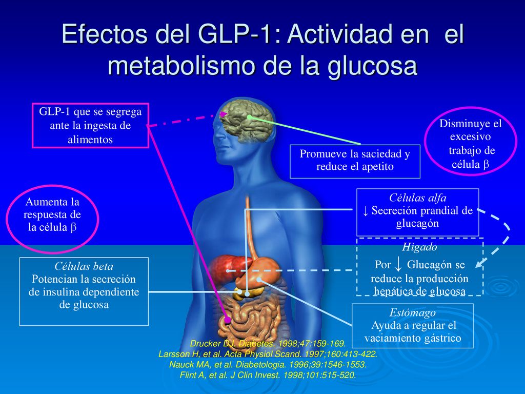 Efectos del GLP-1: Actividad en el metabolismo de la glucosa