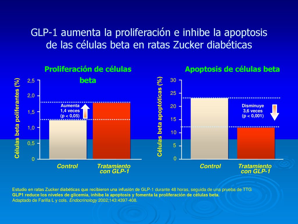 GLP-1 aumenta la proliferación e inhibe la apoptosis de las células beta en ratas Zucker diabéticas