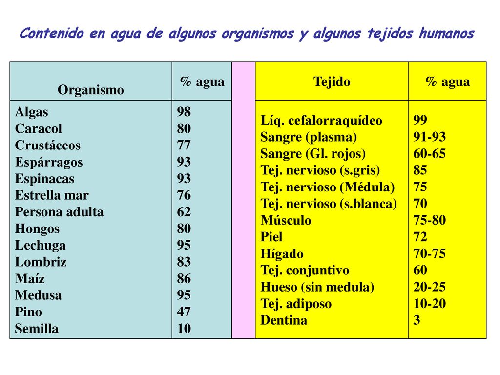 Contenido en agua de algunos organismos y algunos tejidos humanos