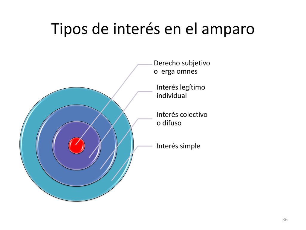 Tipos de interés en el amparo