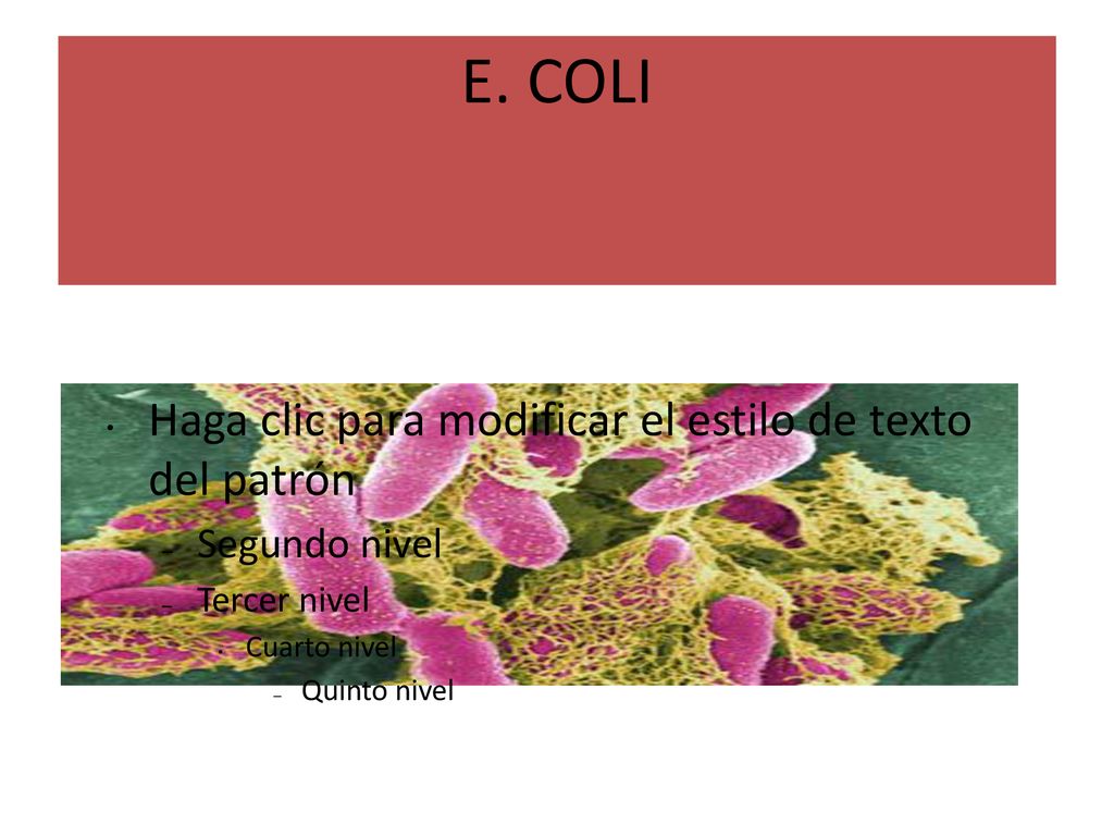 E. COLI Haga clic para modificar el estilo de texto del patrón