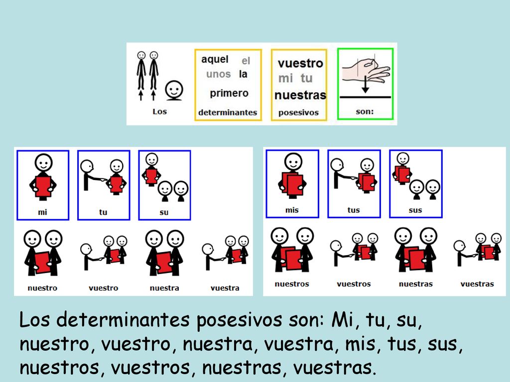 Los determinantes posesivos son: Mi, tu, su, nuestro, vuestro, nuestra, vuestra, mis, tus, sus, nuestros, vuestros, nuestras, vuestras.