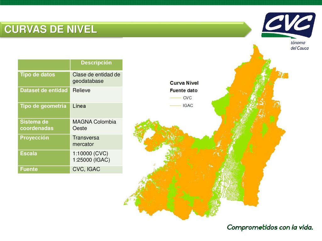 CURVAS DE NIVEL Descripción Tipo de datos