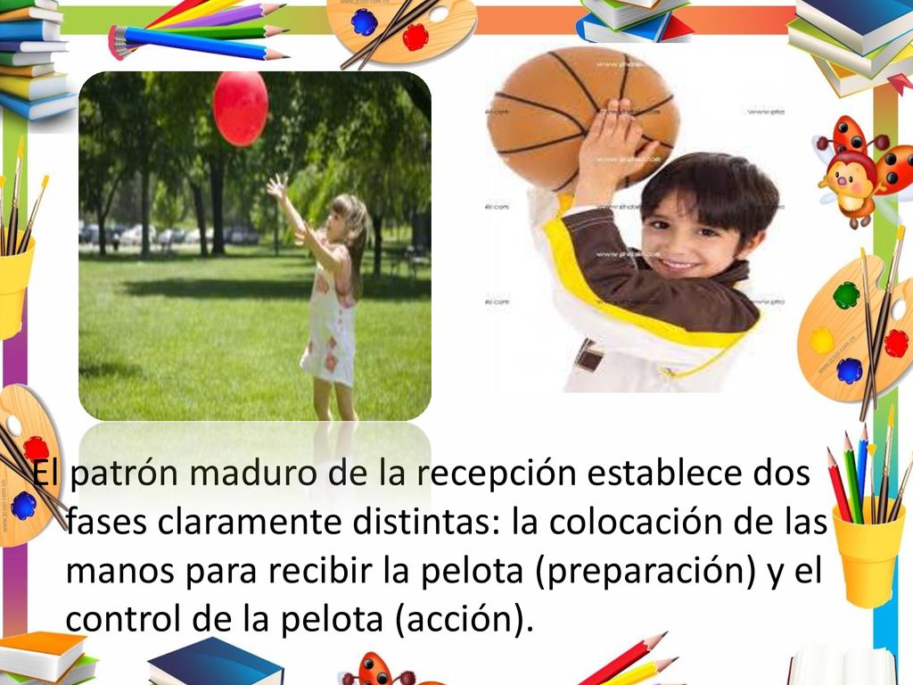 El patrón maduro de la recepción establece dos fases claramente distintas: la colocación de las manos para recibir la pelota (preparación) y el control de la pelota (acción).