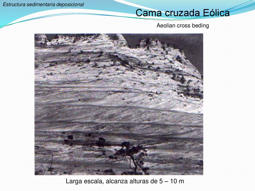 Cama cruzada Eólica Larga escala, alcanza alturas de 5 – 10 m