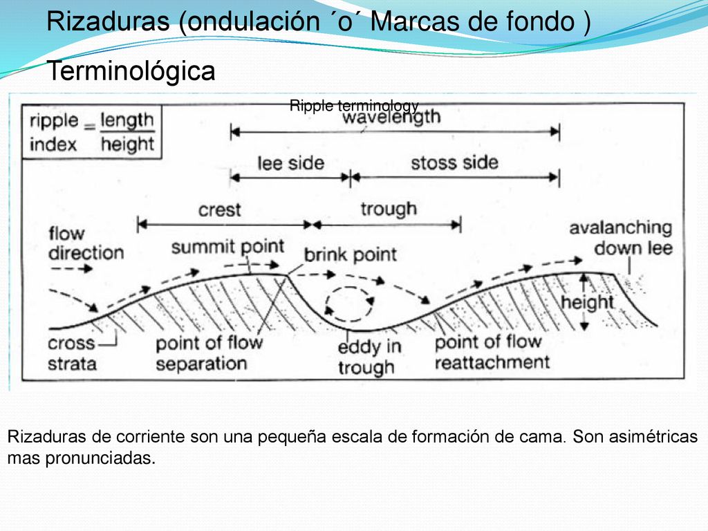 Rizaduras (ondulación ´o´ Marcas de fondo ) Terminológica