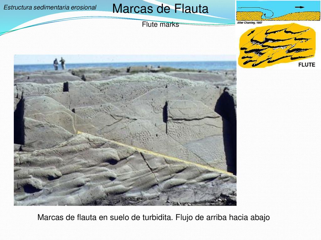 Marcas de Flauta Flute marks. Estructura sedimentaria erosional.