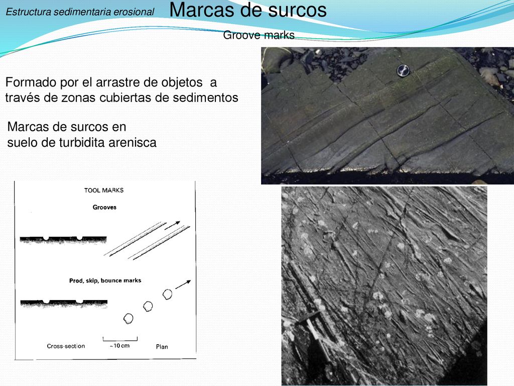 Marcas de surcos Groove marks. Estructura sedimentaria erosional. Formado por el arrastre de objetos a través de zonas cubiertas de sedimentos.