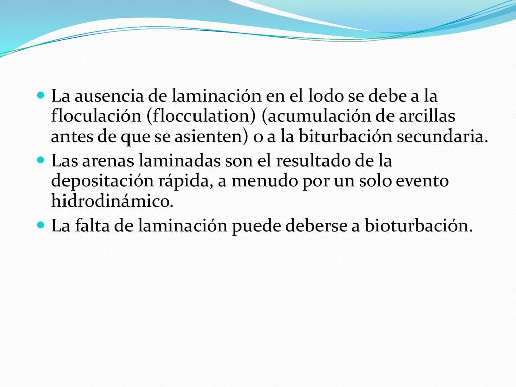 La ausencia de laminación en el lodo se debe a la floculación (flocculation) (acumulación de arcillas antes de que se asienten) o a la biturbación secundaria.