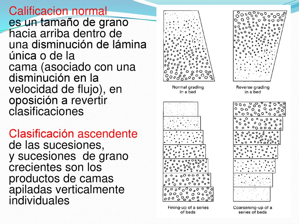 Calificacion normal es un tamaño de grano hacia arriba dentro de una disminución de lámina única o de la cama (asociado con una disminución en la velocidad de flujo), en oposición a revertir clasificaciones Clasificación ascendente de las sucesiones, y sucesiones de grano crecientes son los productos de camas apiladas verticalmente individuales
