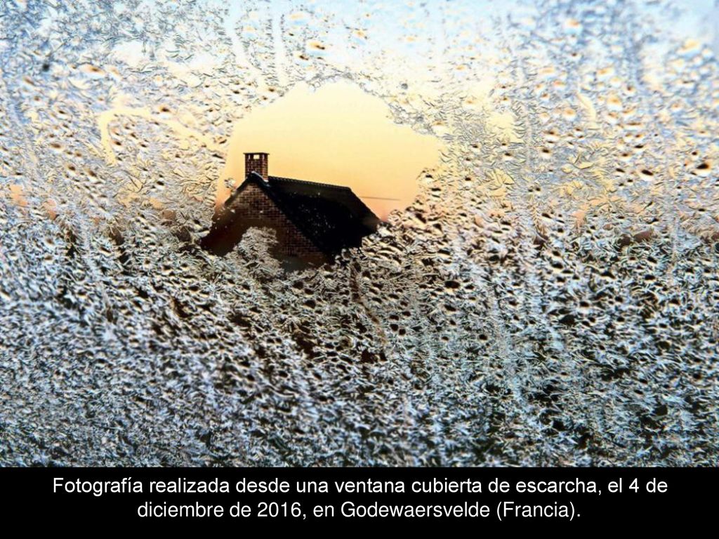 Fotografía realizada desde una ventana cubierta de escarcha, el 4 de diciembre de 2016, en Godewaersvelde (Francia).