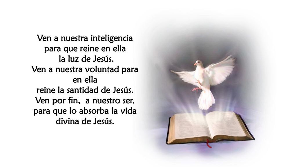Ven a nuestra inteligencia para que reine en ella la luz de Jesús.