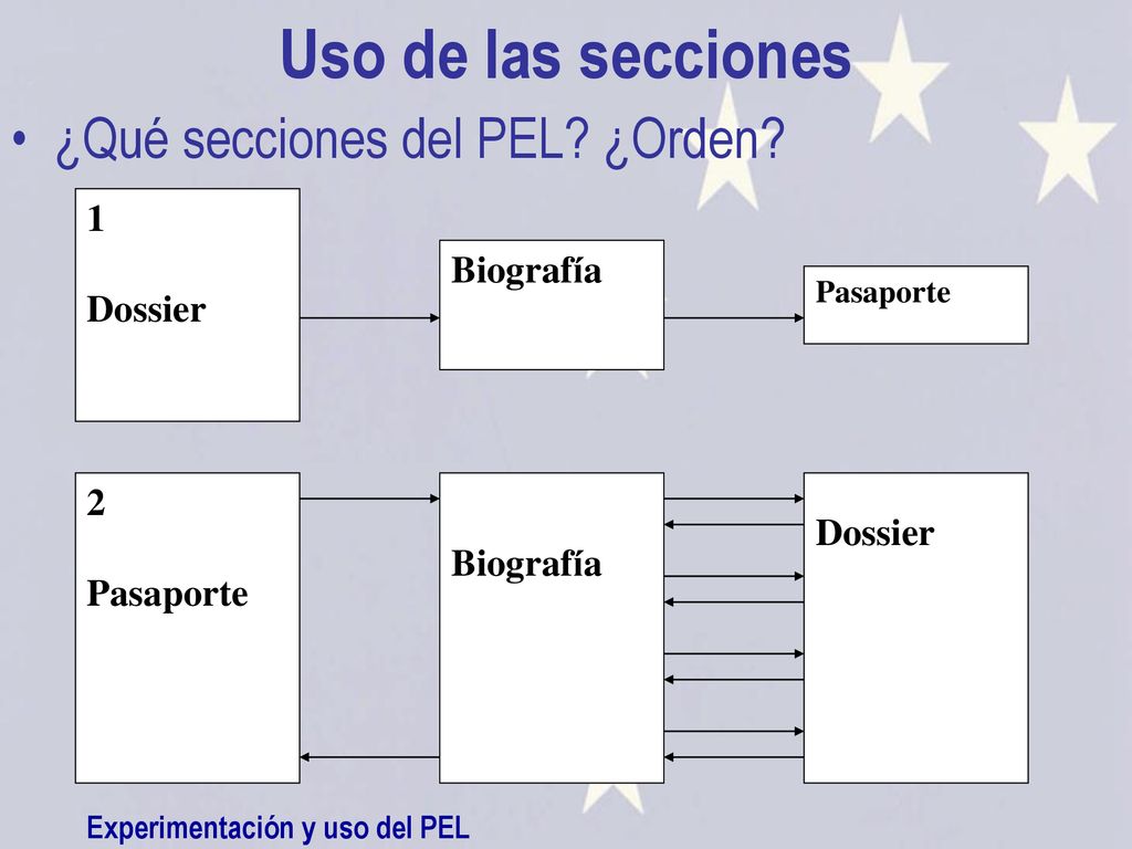 Uso de las secciones ¿Qué secciones del PEL ¿Orden 1 Dossier