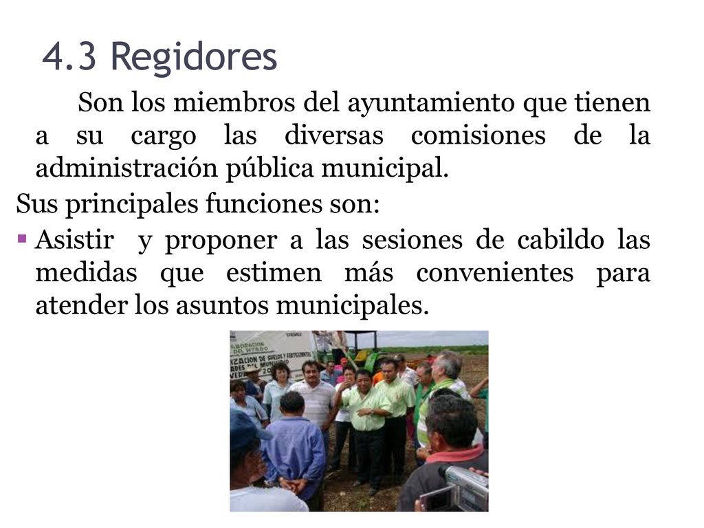 4.3 Regidores Son los miembros del ayuntamiento que tienen a su cargo las diversas comisiones de la administración pública municipal.