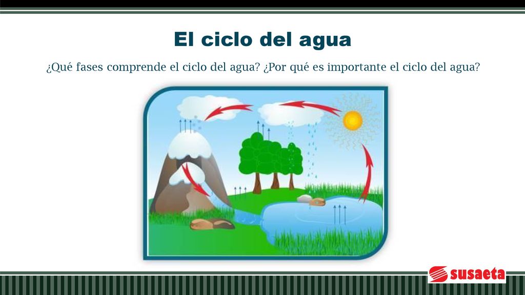 El ciclo del agua ¿Qué fases comprende el ciclo del agua ¿Por qué es importante el ciclo del agua