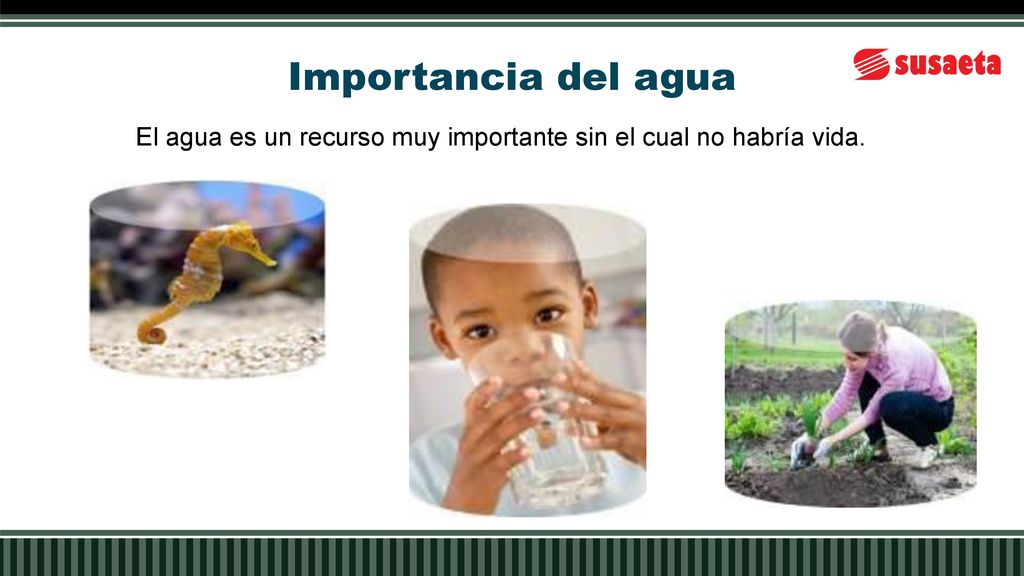 Importancia del agua El agua es un recurso muy importante sin el cual no habría vida.