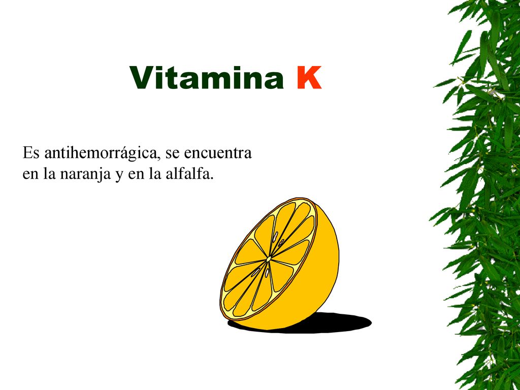 Vitamina K Es antihemorrágica, se encuentra en la naranja y en la alfalfa.