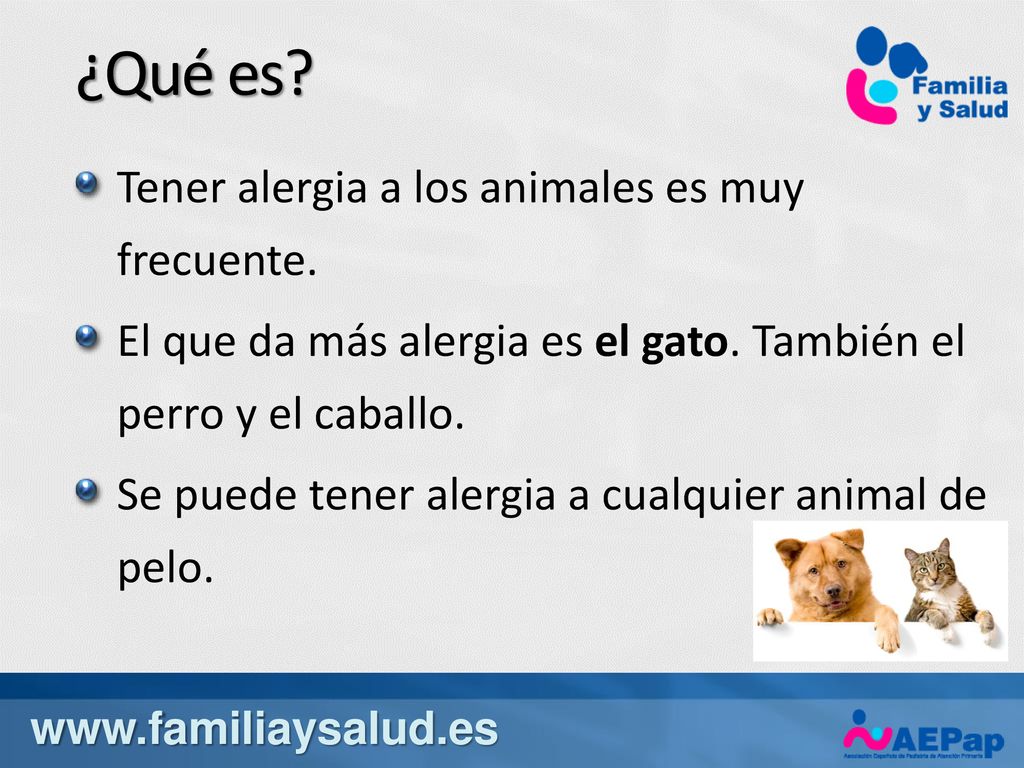 ¿Qué es Tener alergia a los animales es muy frecuente.