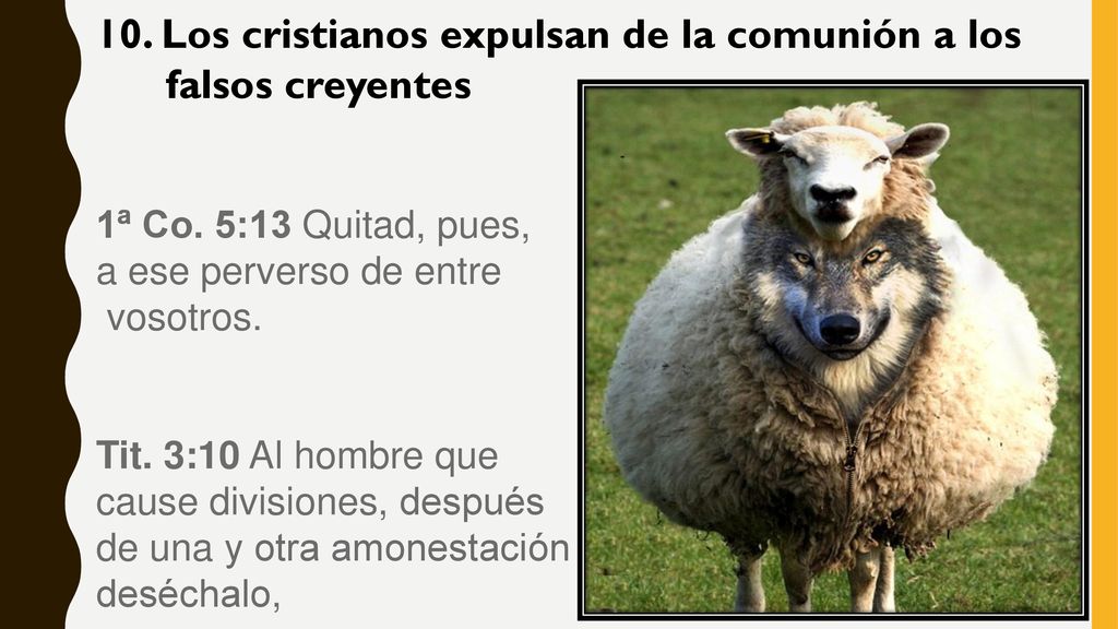 10. Los cristianos expulsan de la comunión a los falsos creyentes