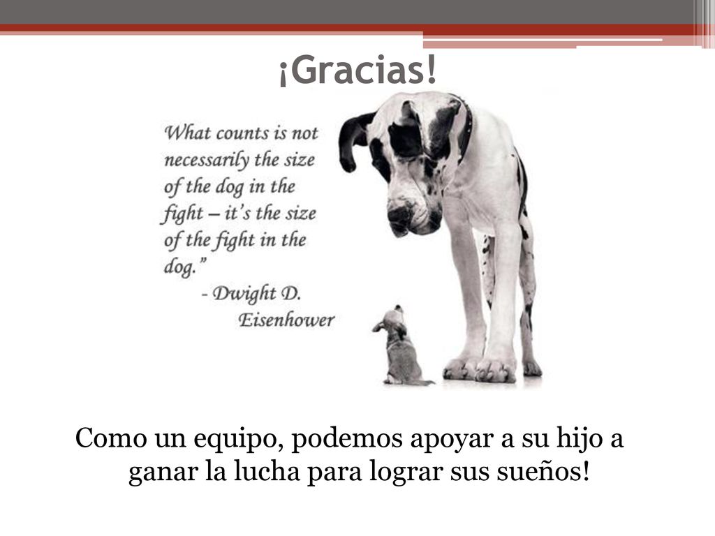 ¡Gracias! Como un equipo, podemos apoyar a su hijo a ganar la lucha para lograr sus sueños!