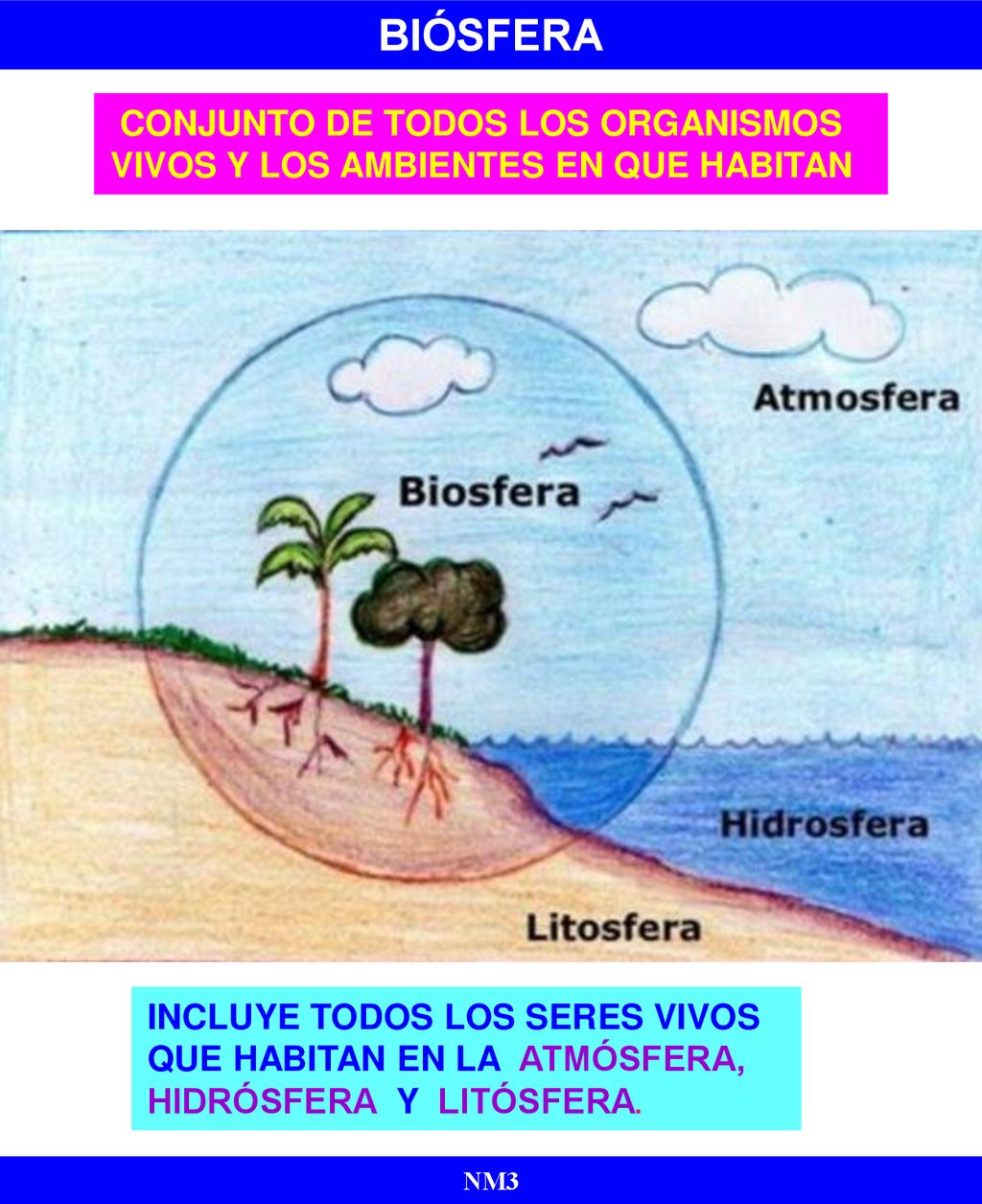 BIÓSFERA conjunto de todos los organismos vivos y los ambientes en que habitan.