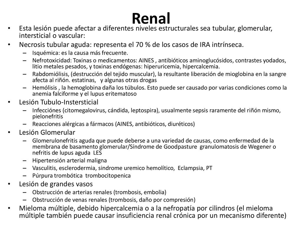 Renal Esta lesión puede afectar a diferentes niveles estructurales sea tubular, glomerular, intersticial o vascular: