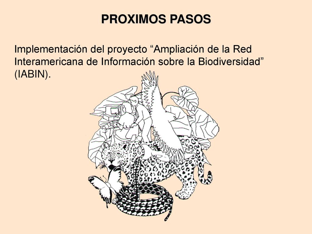 PROXIMOS PASOS Implementación del proyecto Ampliación de la Red Interamericana de Información sobre la Biodiversidad (IABIN).