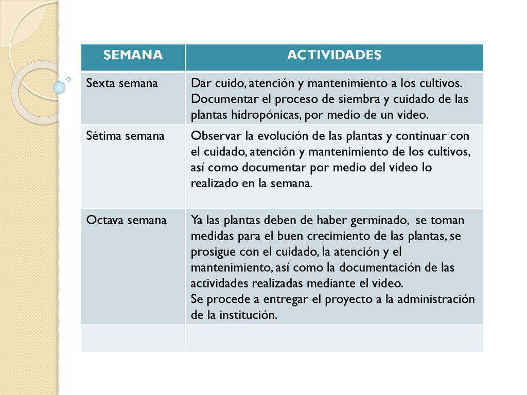 SEMANA ACTIVIDADES. Sexta semana. Dar cuido, atención y mantenimiento a los cultivos.