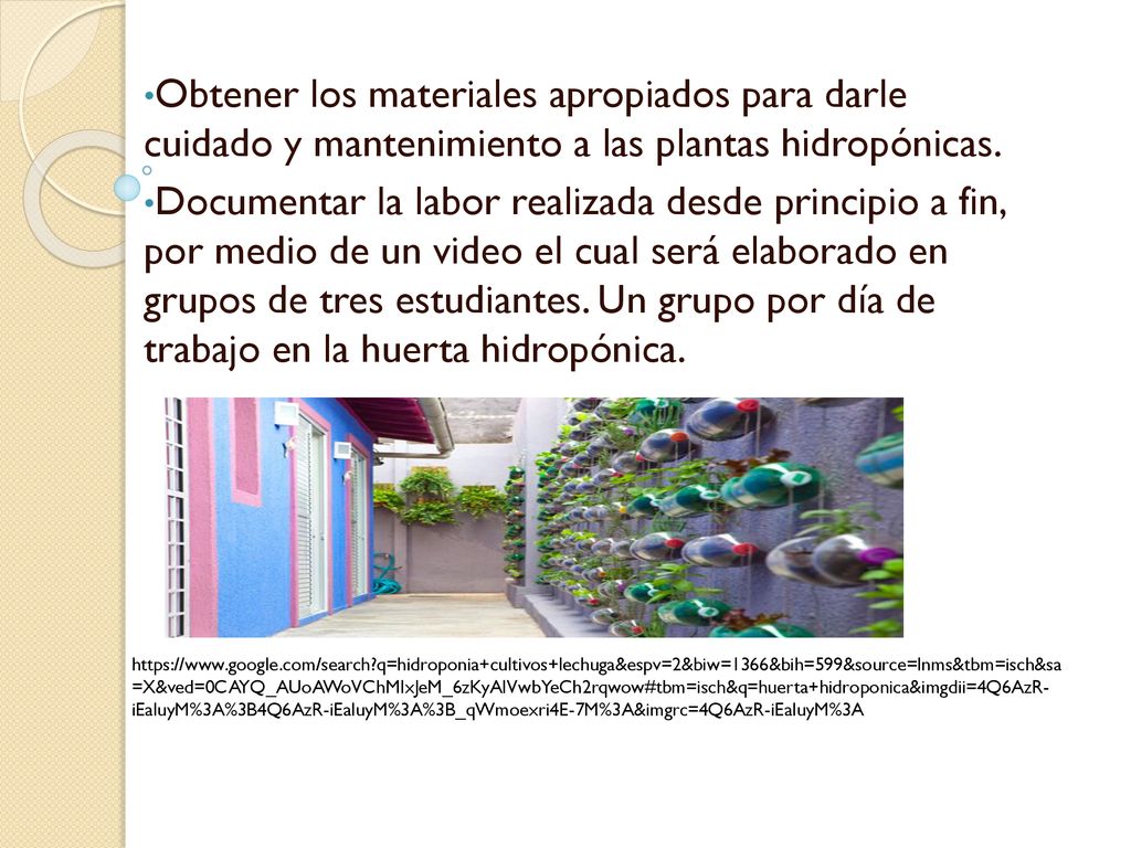 Obtener los materiales apropiados para darle cuidado y mantenimiento a las plantas hidropónicas.