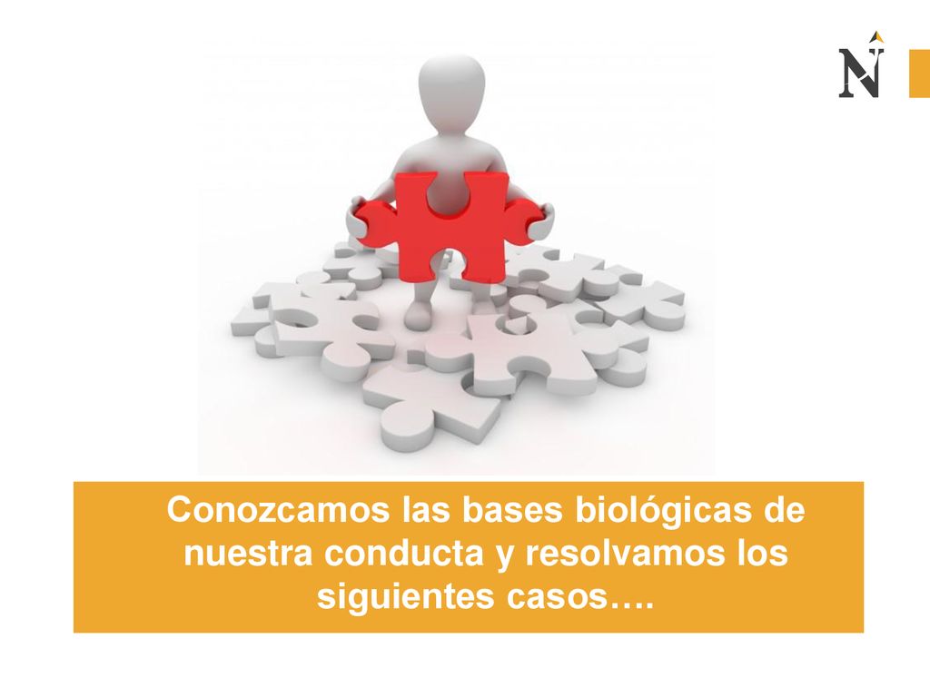 Conozcamos las bases biológicas de nuestra conducta y resolvamos los siguientes casos….