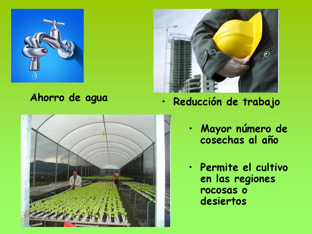 Ahorro de agua Reducción de trabajo. Mayor número de cosechas al año.