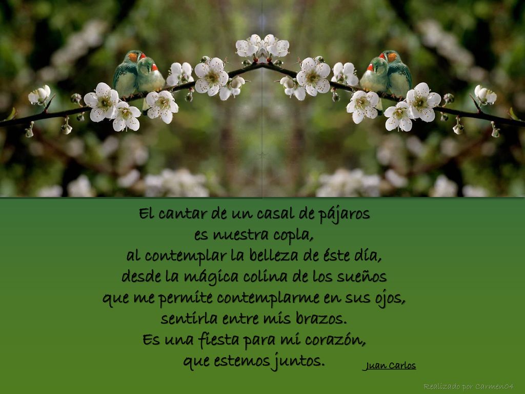 El cantar de un casal de pájaros es nuestra copla,