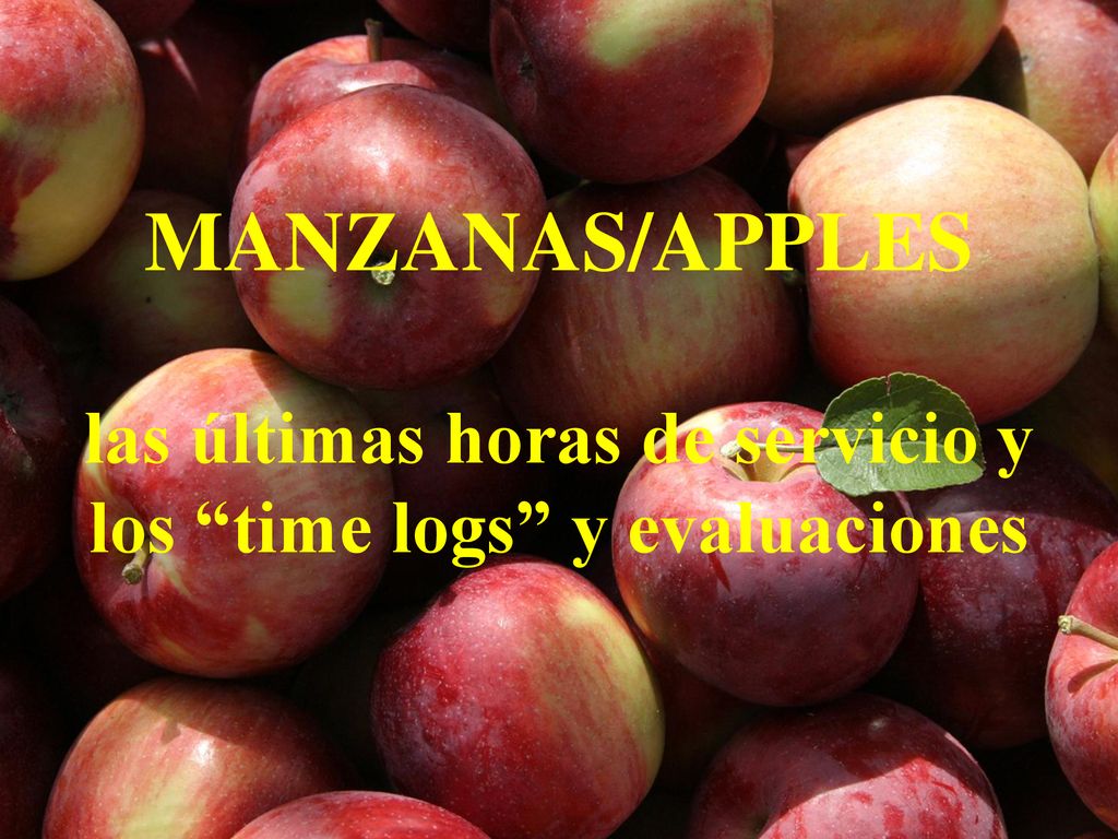 MANZANAS/APPLES las últimas horas de servicio y los time logs y evaluaciones