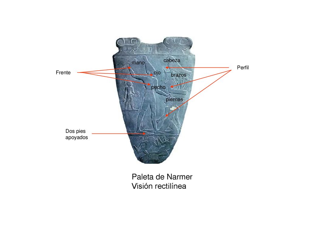 Paleta de Narmer Visión rectilínea cabeza mano Perfil Frente ojo