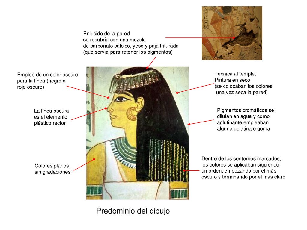 Predominio del dibujo Enlucido de la pared se recubría con una mezcla