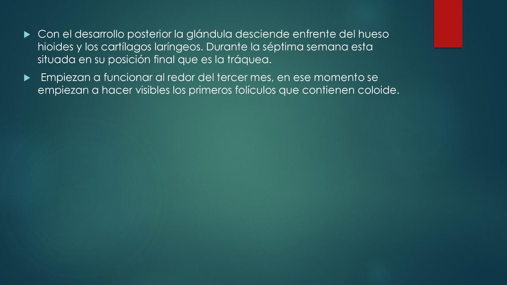 Con el desarrollo posterior la glándula desciende enfrente del hueso hioides y los cartílagos laríngeos. Durante la séptima semana esta situada en su posición final que es la tráquea.