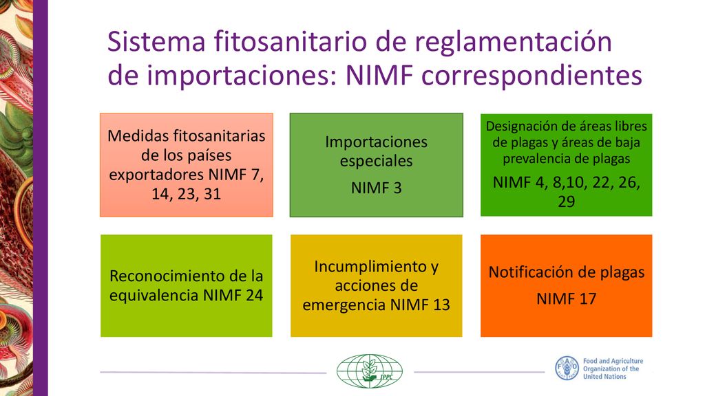 Sistema fitosanitario de reglamentación de importaciones: NIMF correspondientes