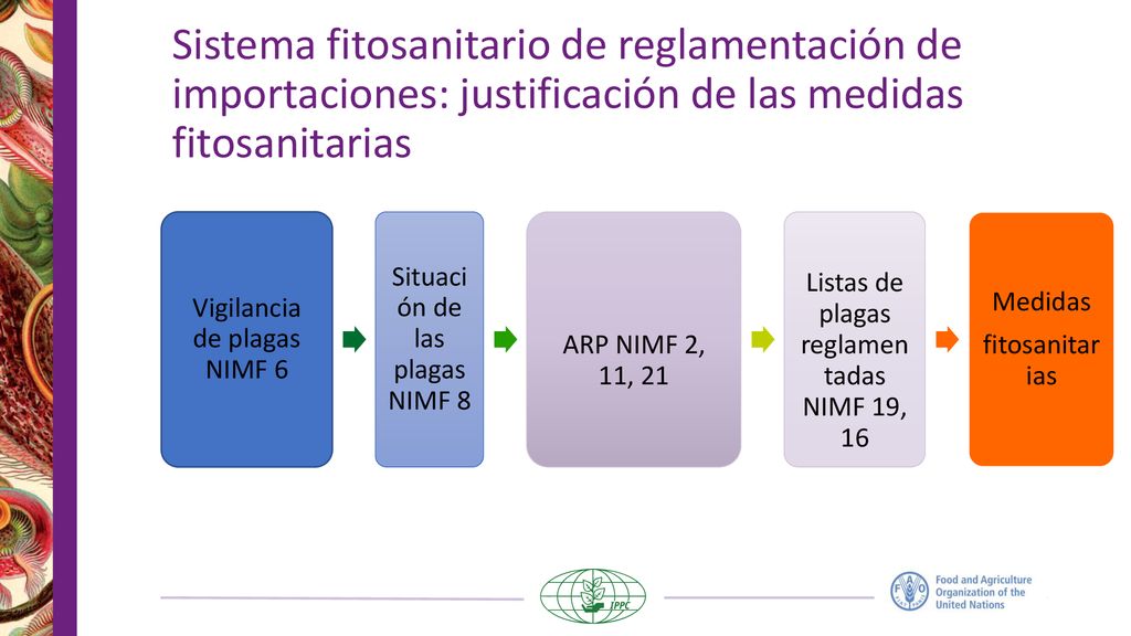 Sistema fitosanitario de reglamentación de importaciones: justificación de las medidas fitosanitarias