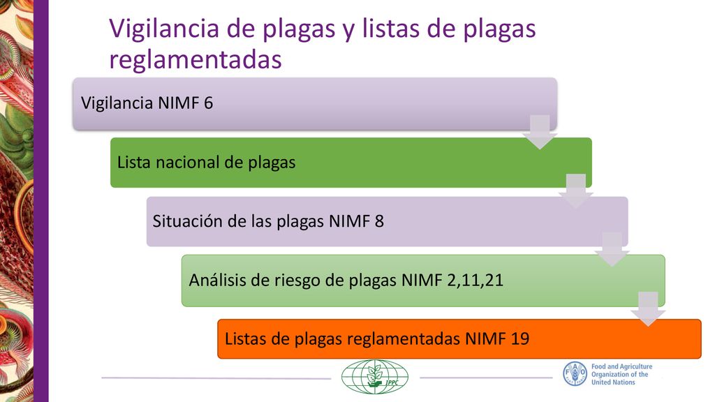 Vigilancia de plagas y listas de plagas reglamentadas