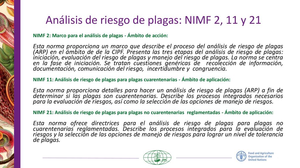 Análisis de riesgo de plagas: NIMF 2, 11 y 21