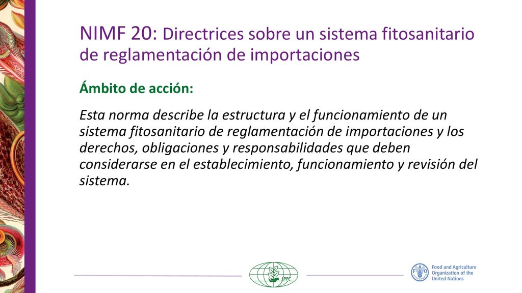 NIMF 20: Directrices sobre un sistema fitosanitario de reglamentación de importaciones