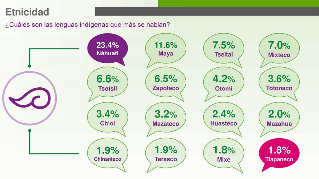 7.0% 6.6% 4.2% 3.2% 2.0% 1.8% Etnicidad 7.5% 6.5% 3.6% 3.4% 2.4% 1.9%