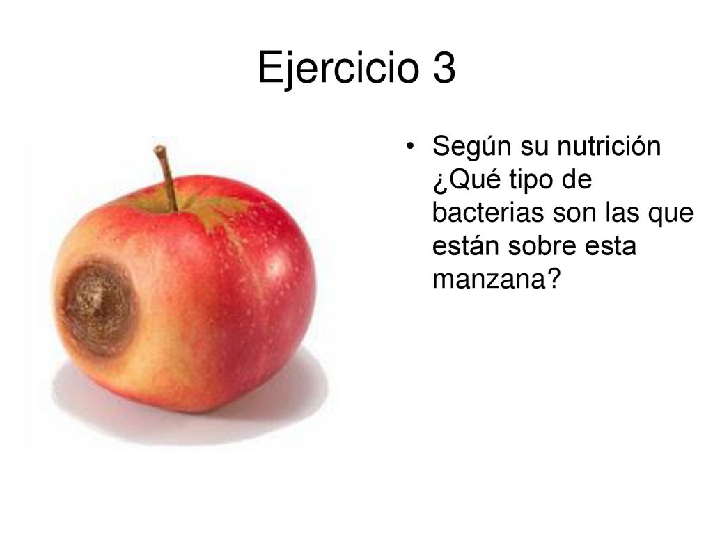 Ejercicio 3 Según su nutrición ¿Qué tipo de bacterias son las que están sobre esta manzana