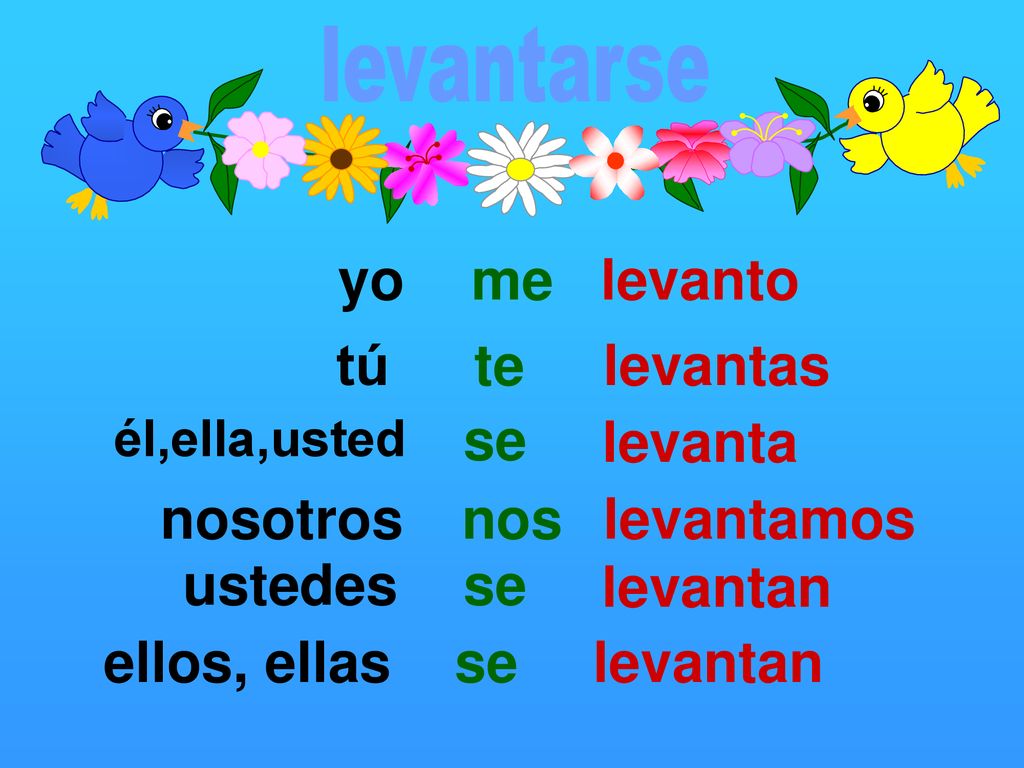 yo me levanto tú te levantas se levanta nosotros nos levantamos